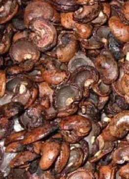 CASHEW NUT SHELL HUSK