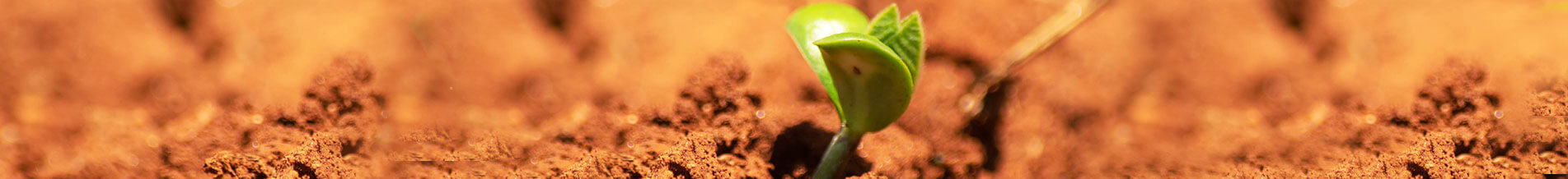 Corporate Social Responsibility